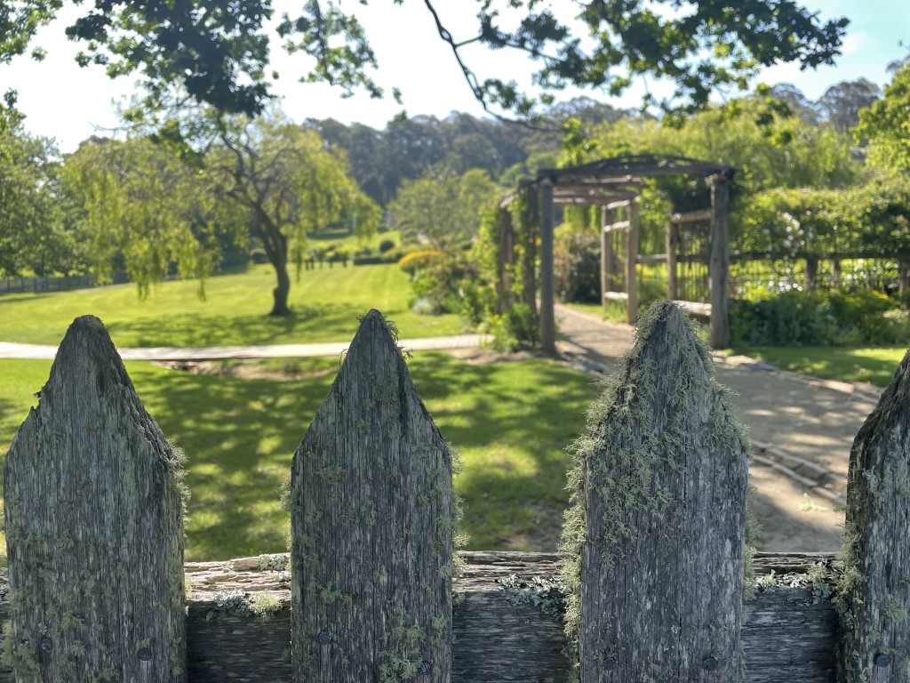 Photo of Path representing Past and Present